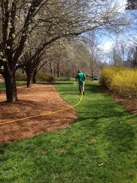 Reliable yard cleanup service in Norcross, GA - Turf Shield