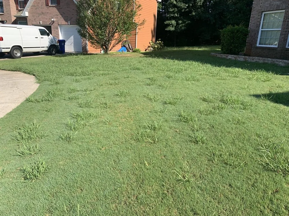 Expert lawn care service experts serving Norcross, GA - Turf Shield