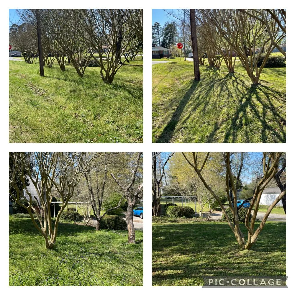 Local yard cleanup service for beautiful yards in Gaffney, SC by Turf Side Up Lawn Care