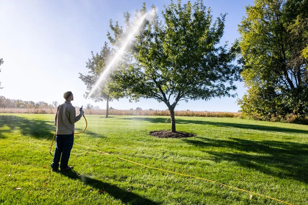 Expert lawn mowing service in Lees Summit, MO by Turf Solutions