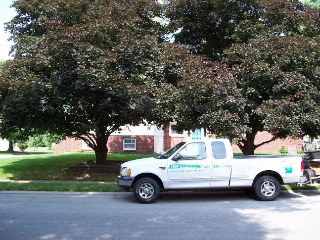 Local outdoor landscaping in Lees Summit, MO by Turf Solutions