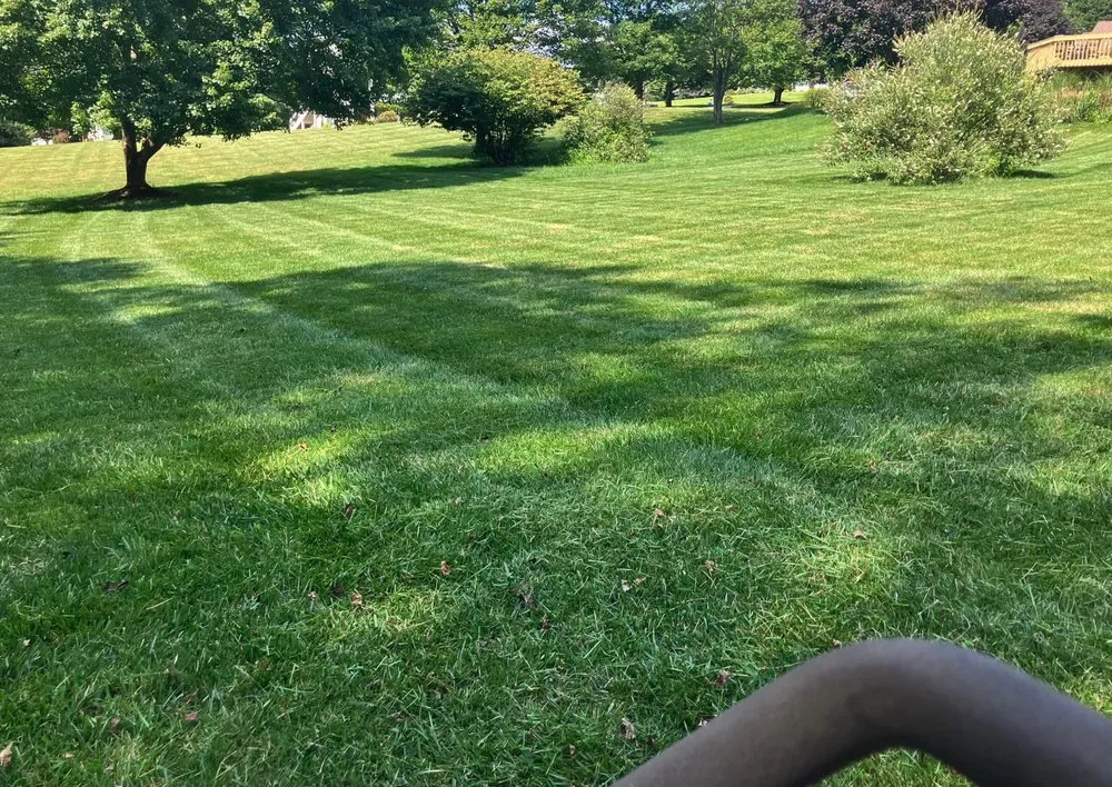 Custom landscaping services for residential properties across Hughesville, MO - Turf Spartan