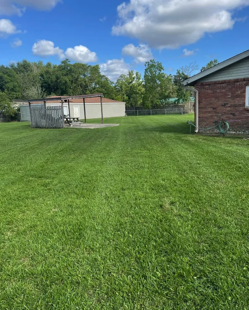 Top-rated landscaping services in Hughesville, MO by Turf Spartan