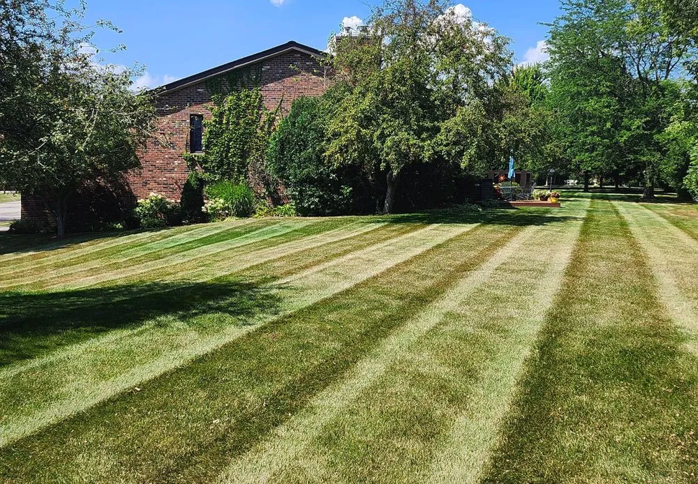 Expert yard cleanup service for beautiful yards across Hughesville, MO - Turf Spartan