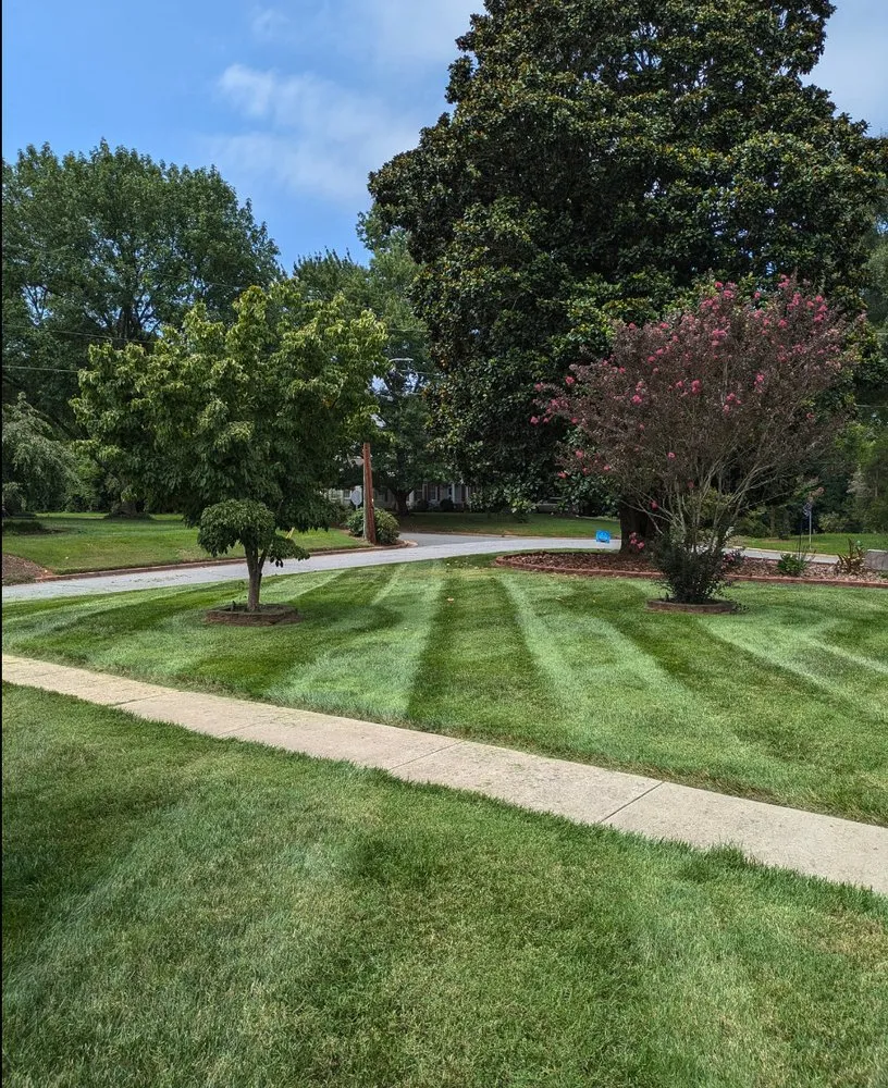 Expert lawn mowing service in Hughesville, MO - Turf Spartan