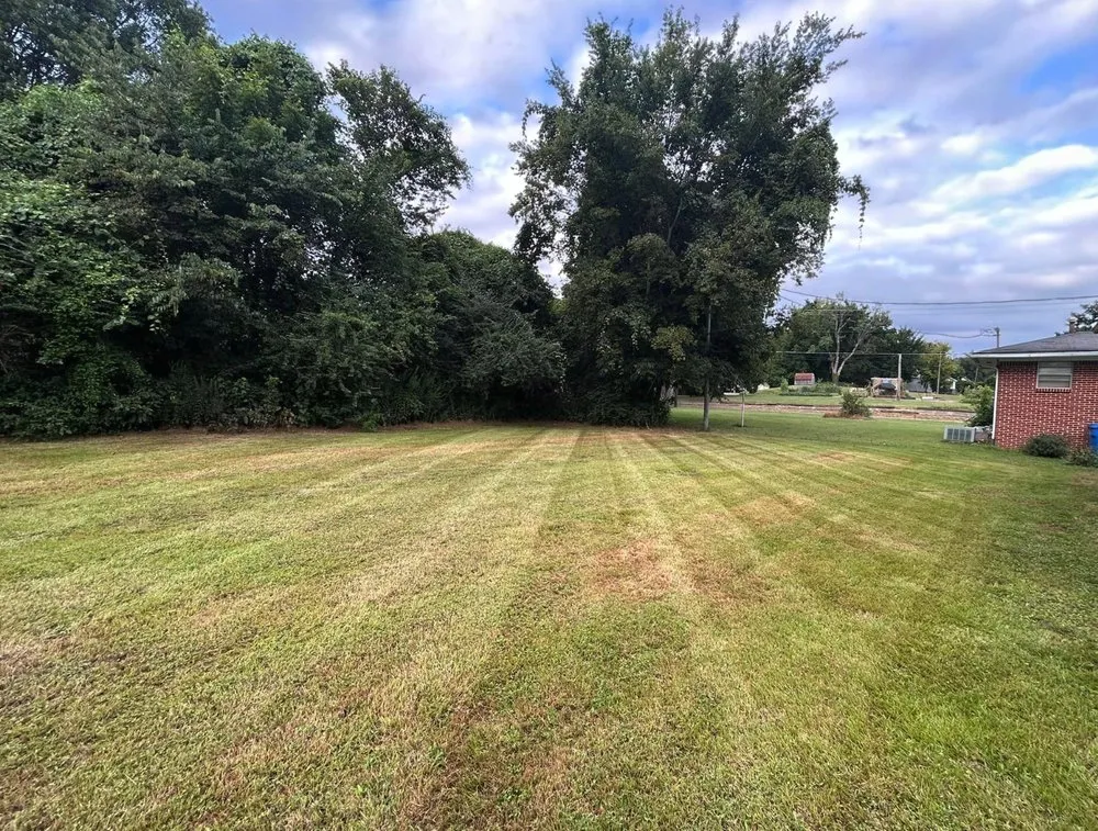 Reliable yard cleanup service for year-round maintenance across Hughesville, MO - Turf Spartan