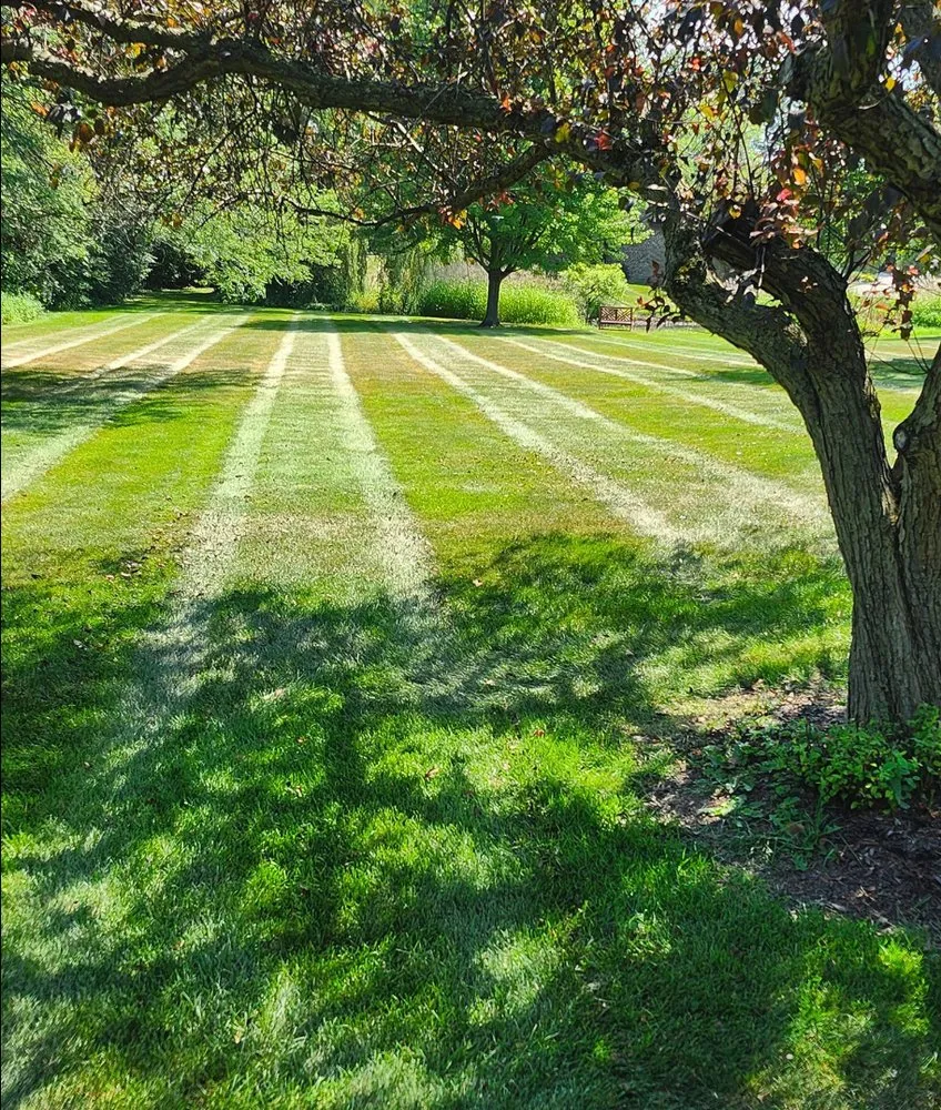 Custom yard maintenance in Hughesville, MO by Turf Spartan