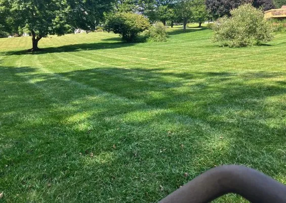 Turf Spartan