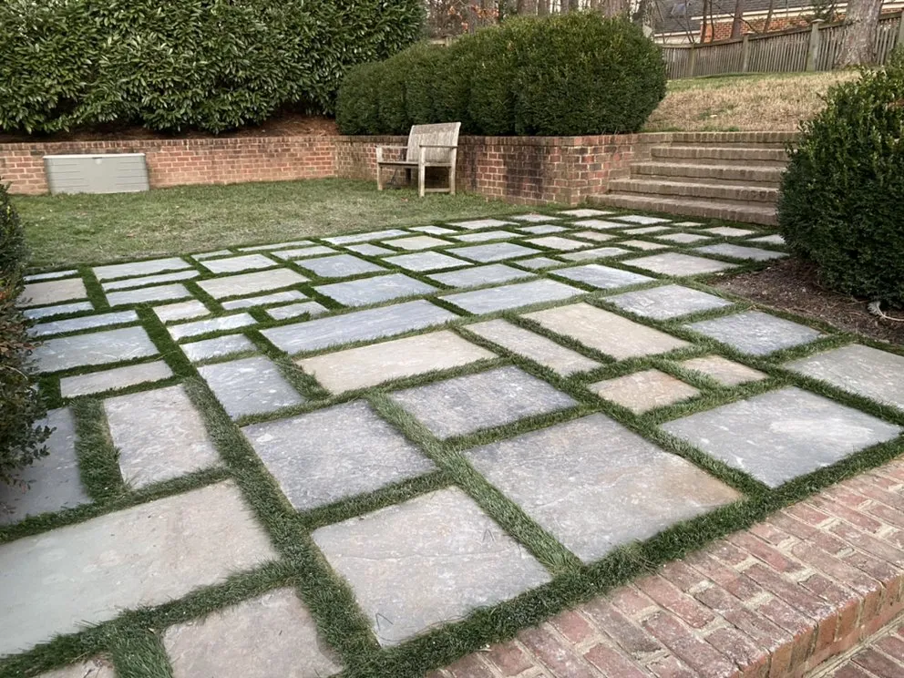 Trusted yard cleanup service experts serving Culpeper, VA - Turf Specialties