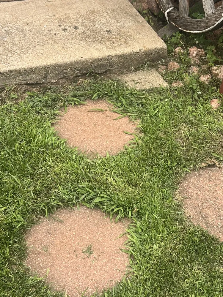 Expert lawn mowing service in Colorado Springs, CO - Turf Surfers