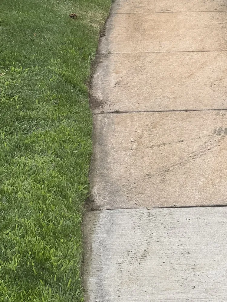 Reliable yard cleanup service in Colorado Springs, CO - Turf Surfers