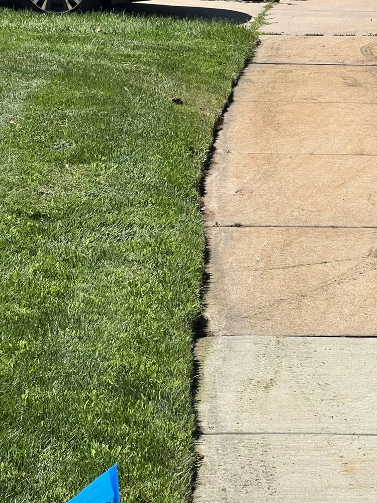 Expert yard maintenance in Colorado Springs, CO - Turf Surfers