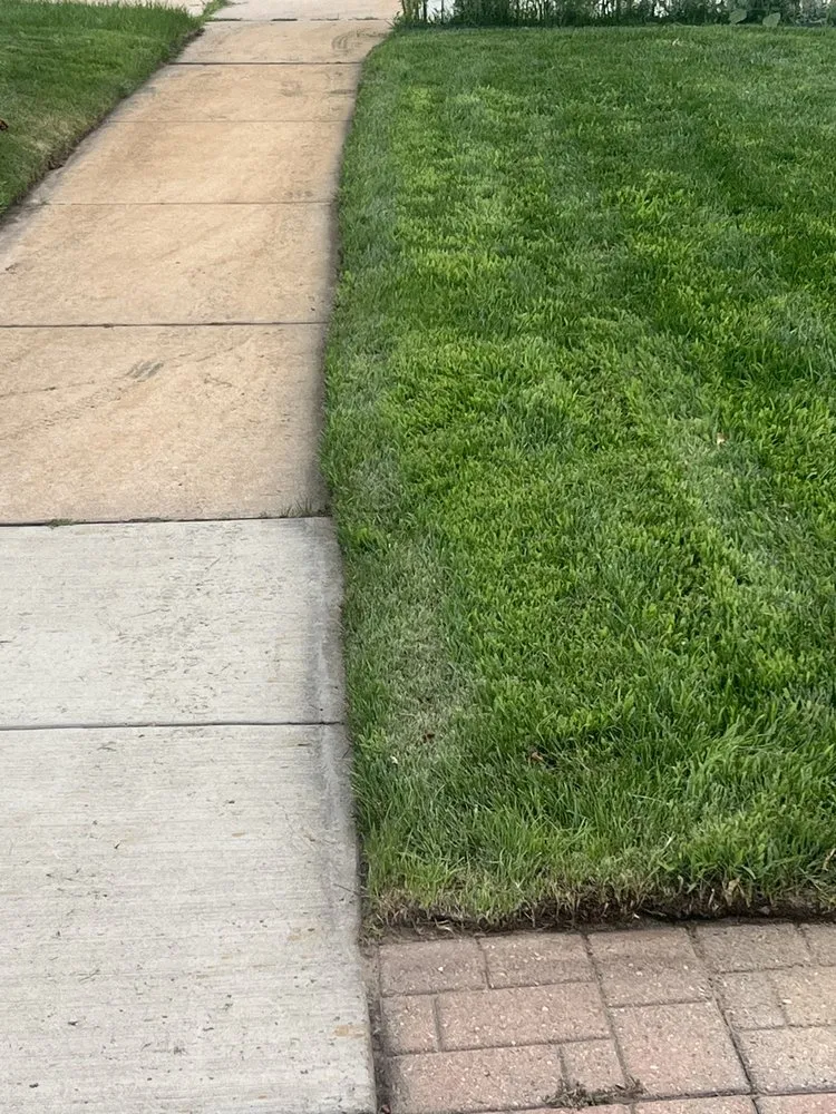 Trusted yard cleanup service experts serving Colorado Springs, CO - Turf Surfers