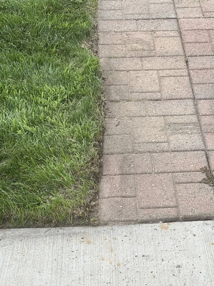 Trusted landscape installation for homes in Colorado Springs, CO by Turf Surfers