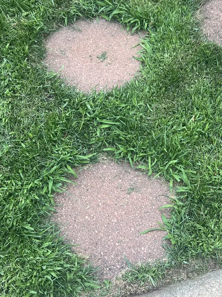 Custom landscape design in Colorado Springs, CO - Turf Surfers