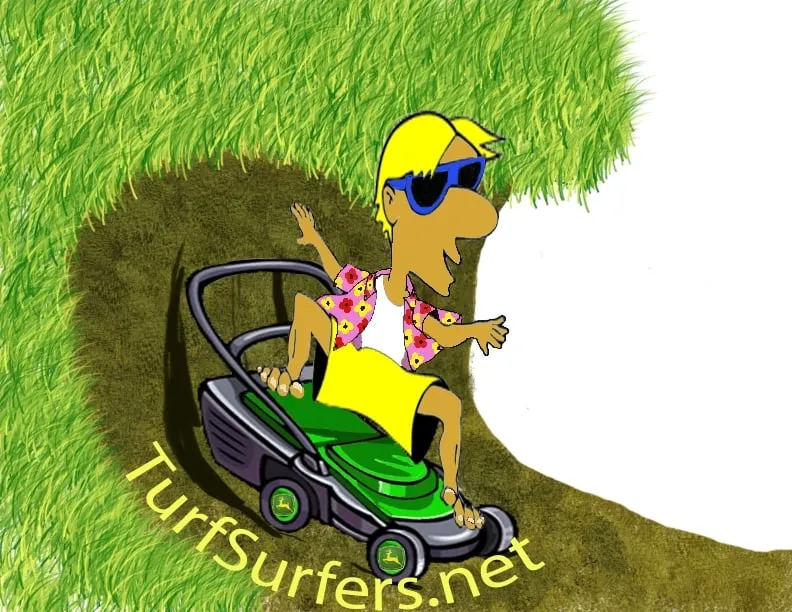 Custom landscape installation in Colorado Springs, CO - Turf Surfers