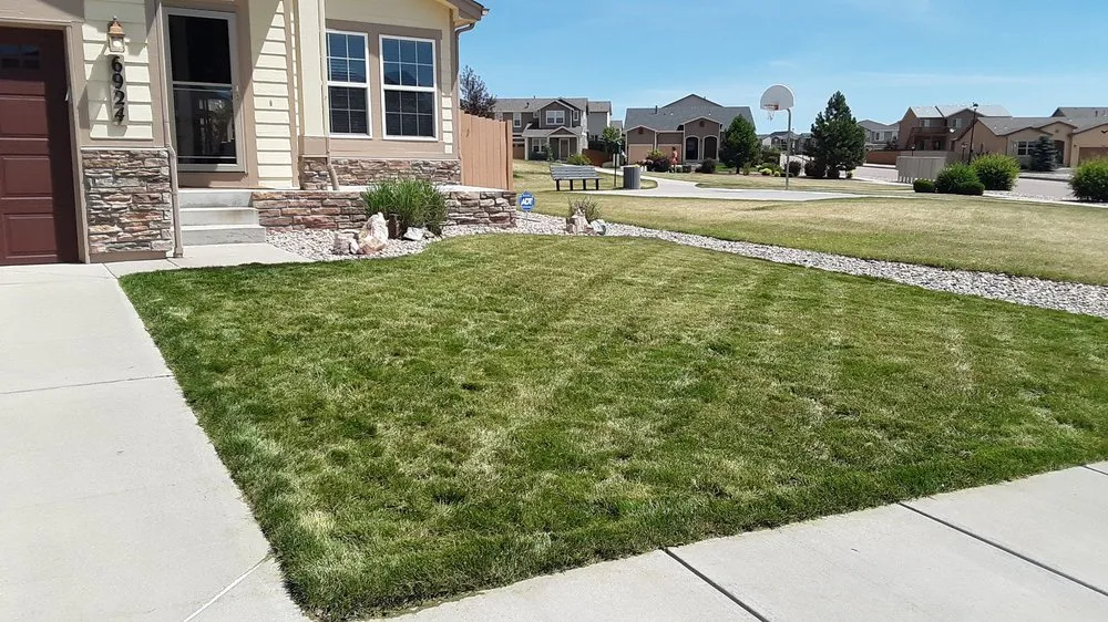Affordable garden landscaping for homes in Colorado Springs, CO by Turf Surfers