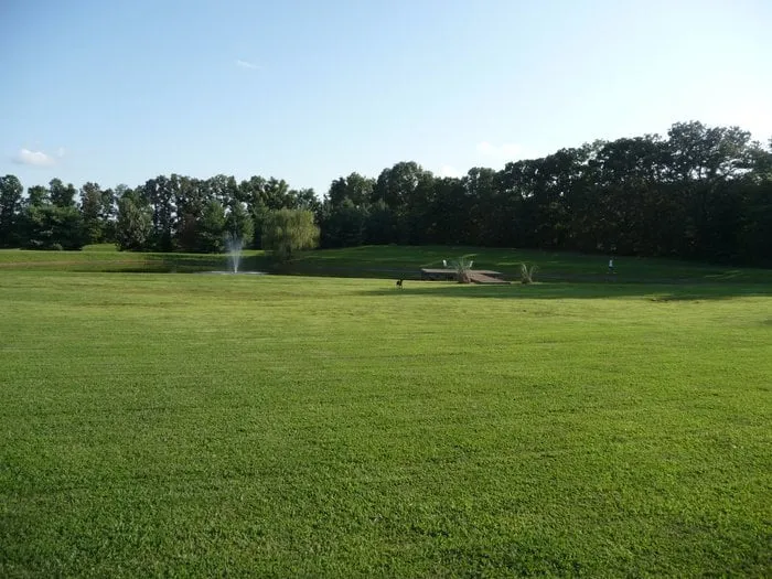 Affordable landscape design for year-round maintenance in Madison, AL by Turf Surfers