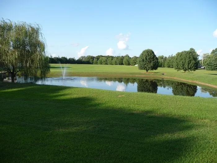 Expert landscape design experts serving Madison, AL - Turf Surfers