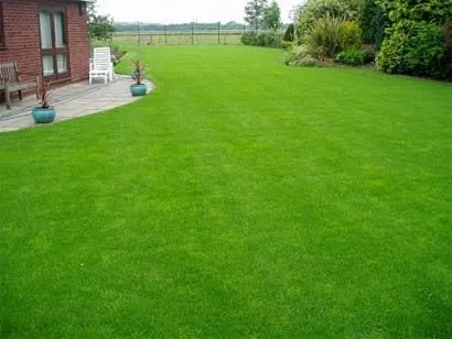 Trusted yard cleanup service in Madison, AL - Turf Surfers