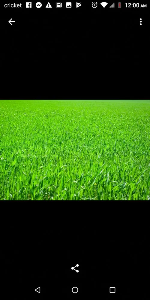 Top-rated yard maintenance in Traverse city, MI - Turf Tactic