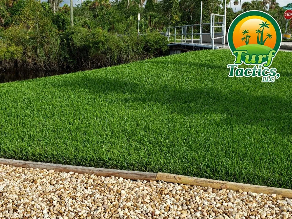 Custom landscape design in Spring Hill, FL by Turf Tactics, LLC