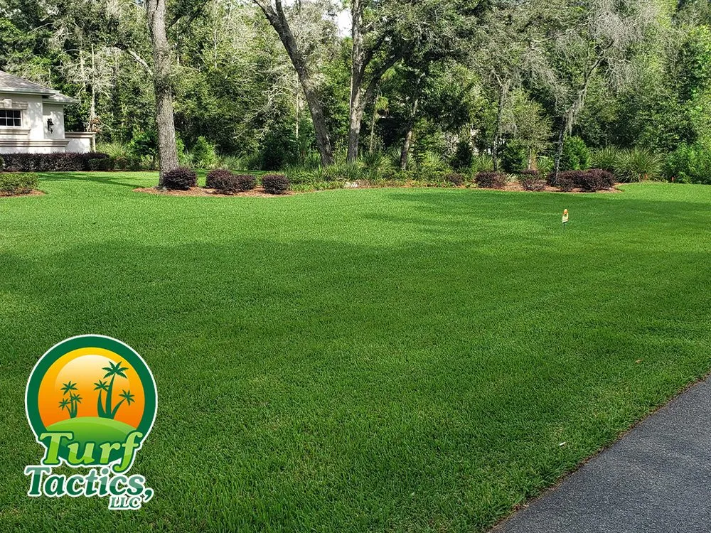 Professional lawn care service in Spring Hill, FL - Turf Tactics, LLC