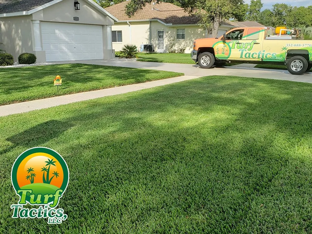 Custom outdoor landscaping in Spring Hill, FL by Turf Tactics, LLC