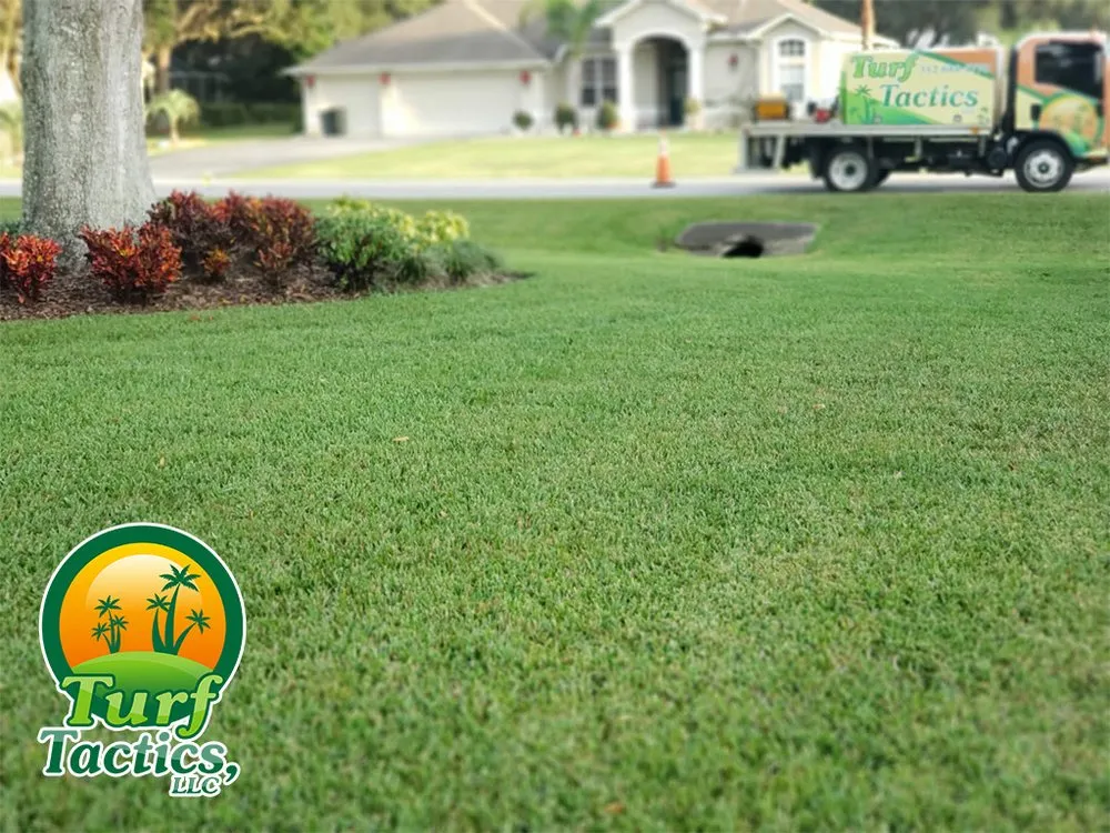 Local residential landscaping in Spring Hill, FL by Turf Tactics, LLC