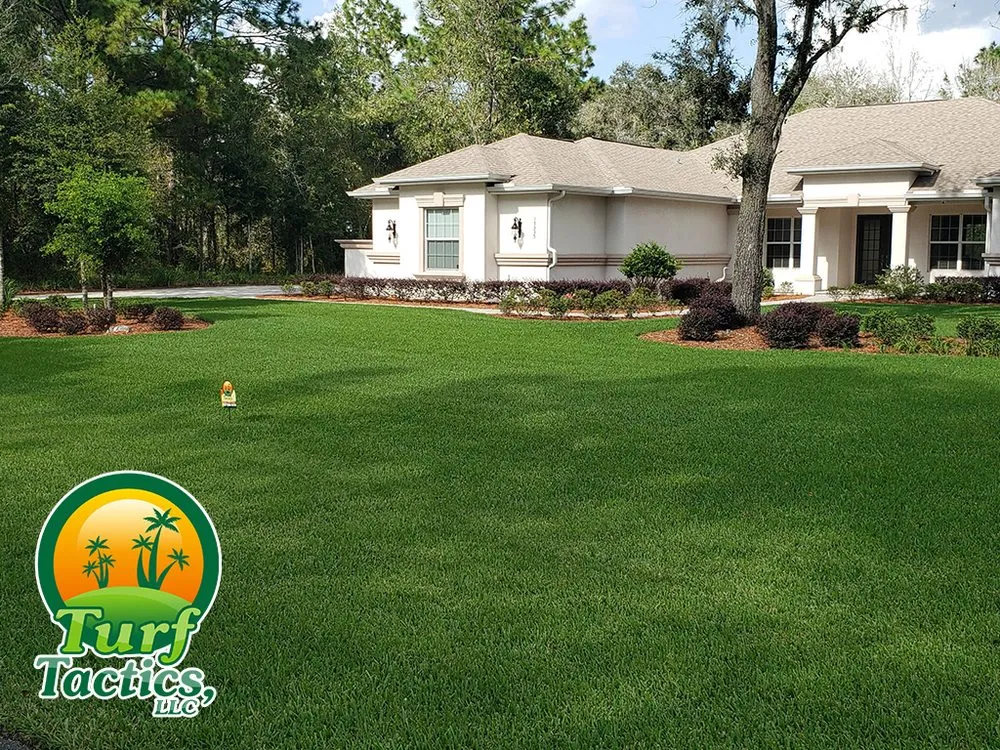 Affordable lawn mowing service experts serving Spring Hill, FL - Turf Tactics, LLC