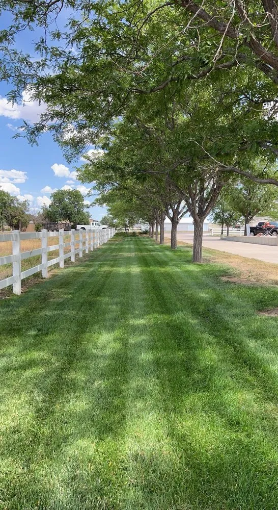Expert lawn mowing service with custom design in Brighton, CO by Turf Talent Lawn & Landscape