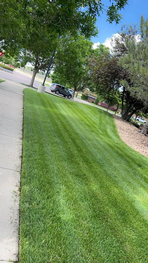 Top-rated landscape installation experts serving Brighton, CO - Turf Talent Lawn & Landscape