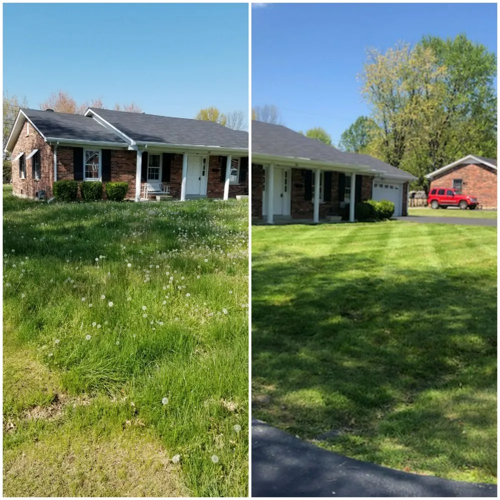 Professional yard maintenance for beautiful yards across Lawrenceburg, KY - Turf Tamer Lawn Service