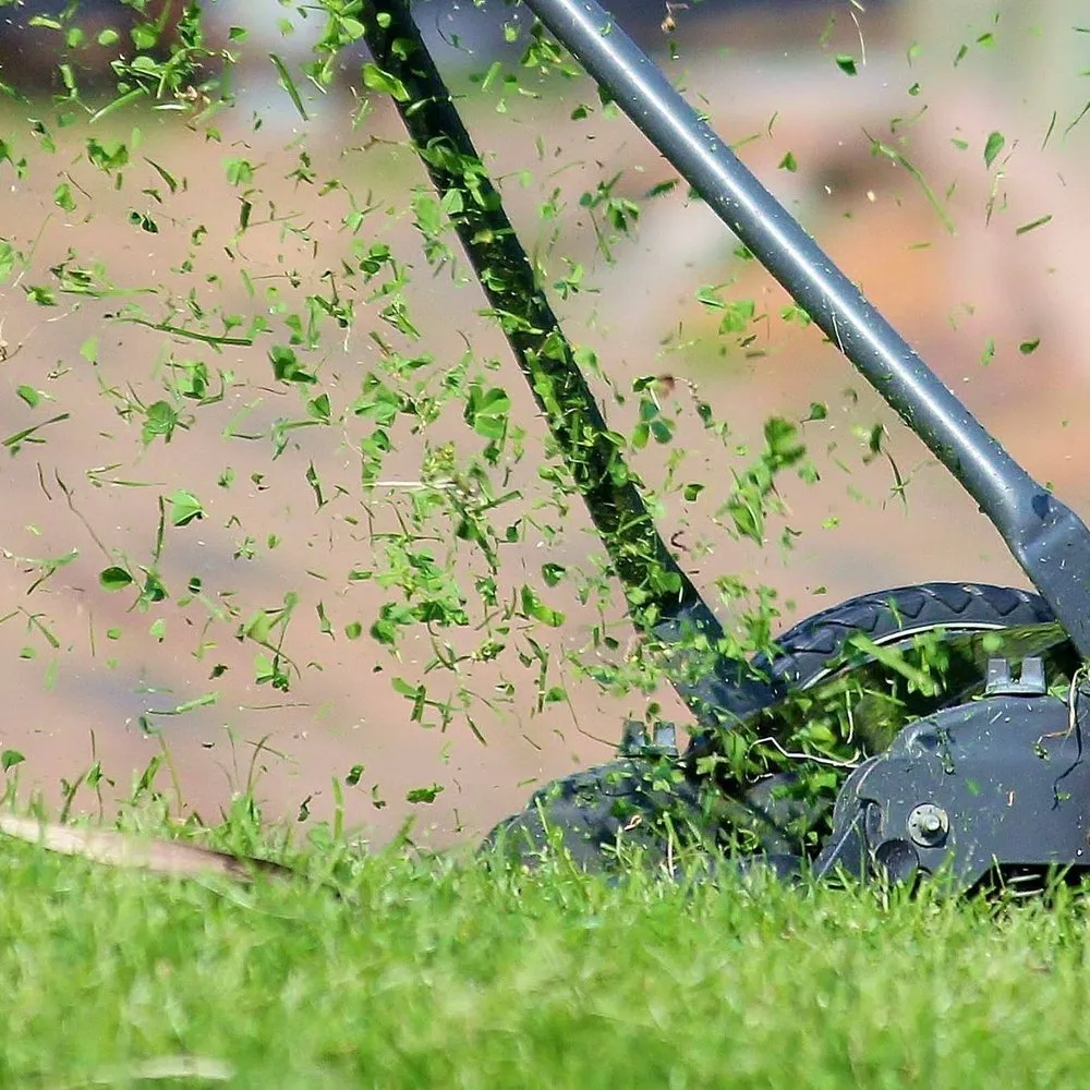 Top-rated yard cleanup service in Lawrenceburg, KY - Turf Tamer Lawn Service