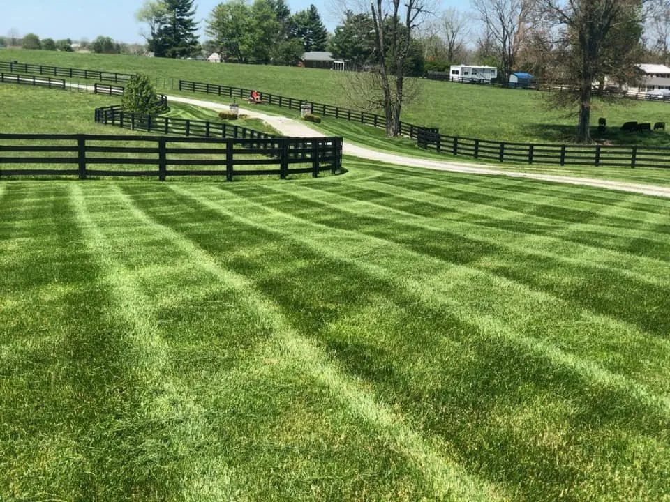 Expert lawn mowing service in Lawrenceburg, KY by Turf Tamer Lawn Service