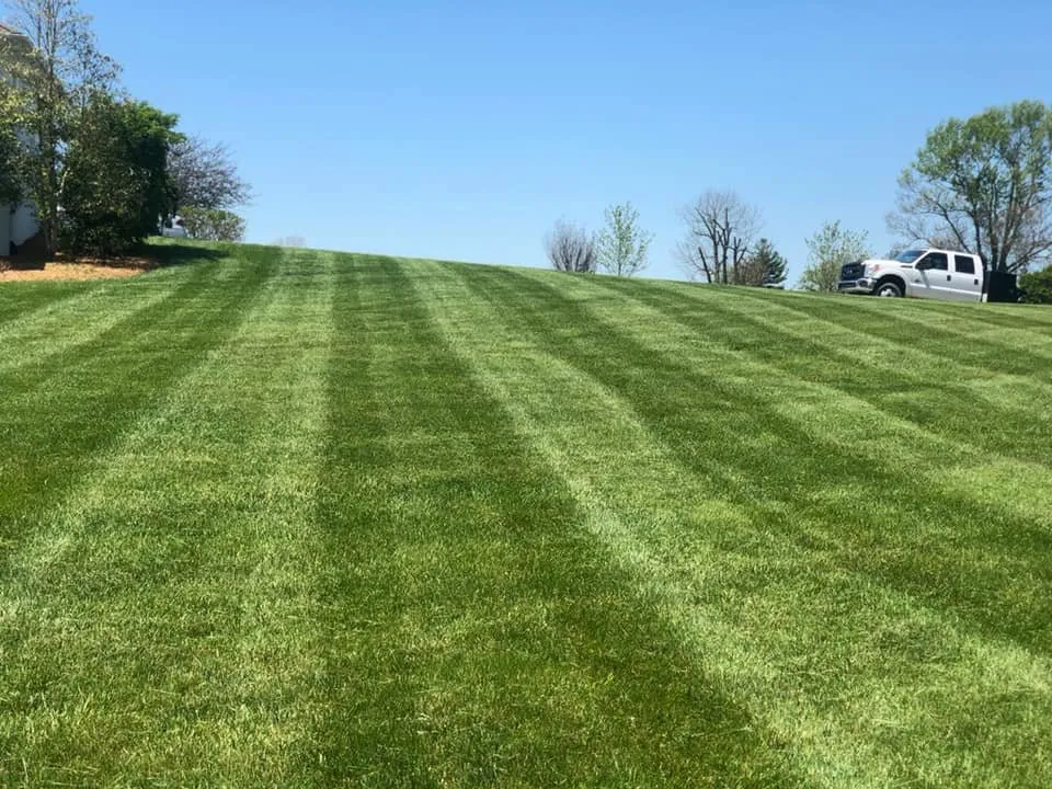 Top-rated lawn mowing service for residential properties in Lawrenceburg, KY by Turf Tamer Lawn Service