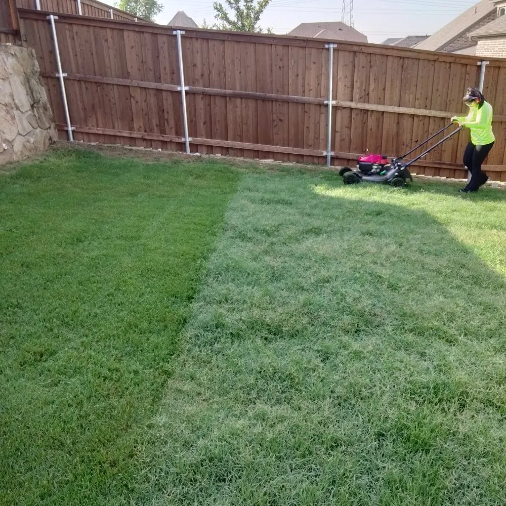 Affordable residential landscaping for residential properties in Fort Worth, TX by Turf Tamers