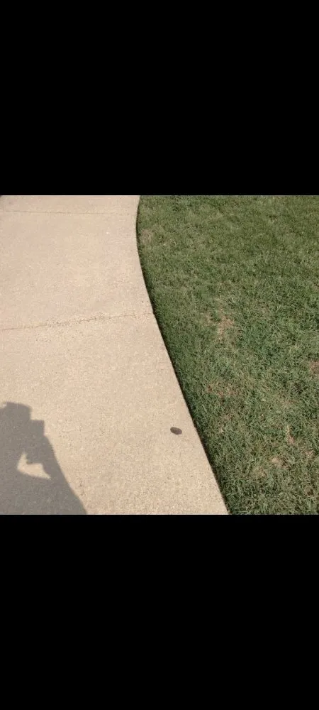 Professional lawn care service in Fort Worth, TX by Turf Tamers