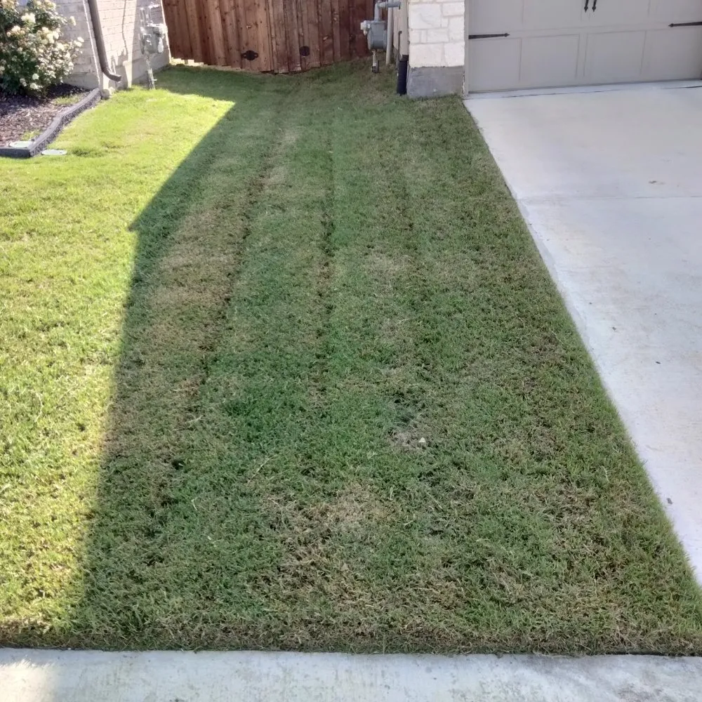 Affordable landscape design for residential properties across Fort Worth, TX - Turf Tamers