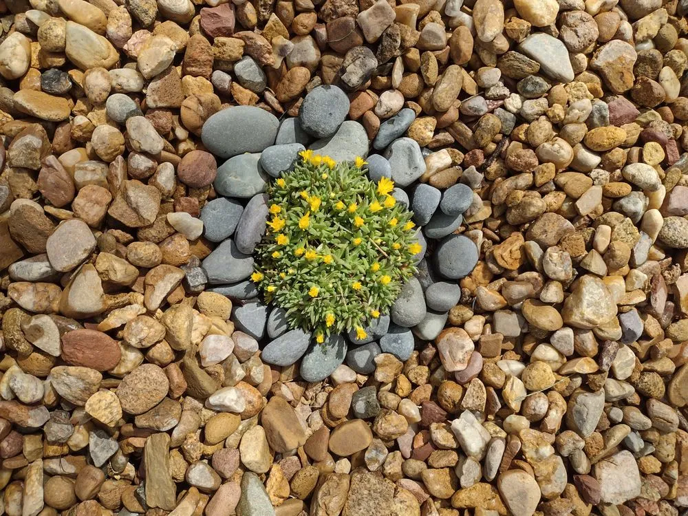 Local landscape design experts serving Fort Collins, CO - Turf Tamers Landscaping