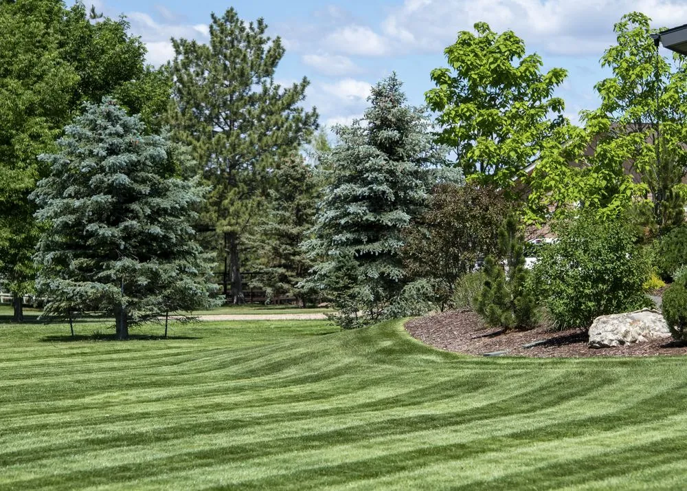 Custom residential landscaping for beautiful yards in Fort Collins, CO by Turf Tamers Landscaping