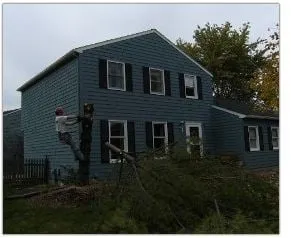 Top-rated yard maintenance for residential properties in East Syracuse, NY by Turf Tamerz