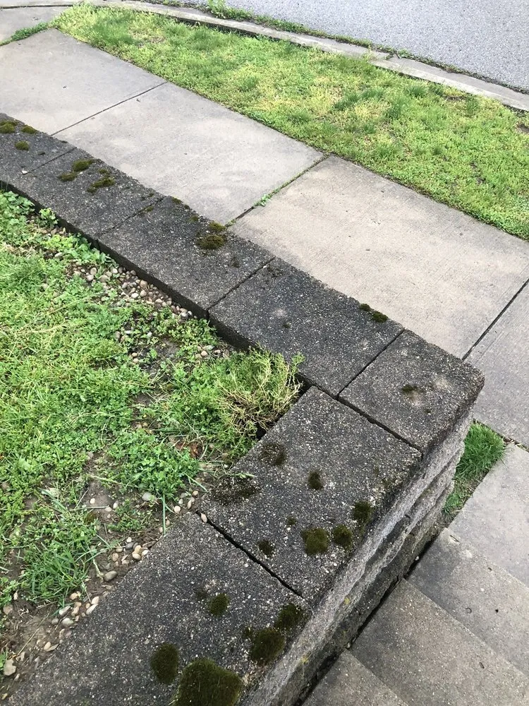 Expert lawn care service for outdoor upgrades in Centerville, OH by Turf Team Lawn Care