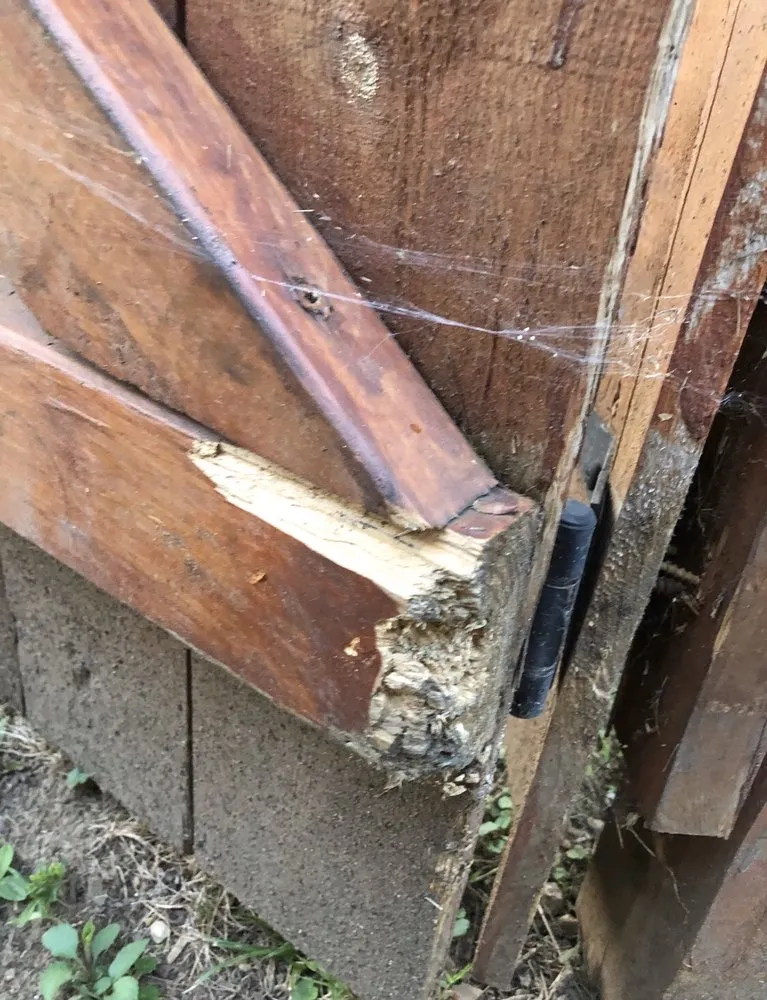 Expert landscaping services for year-round maintenance in Centerville, OH by Turf Team Lawn Care