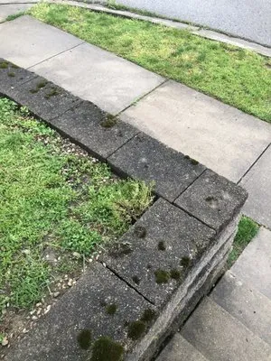 Turf Team Lawn Care Logo