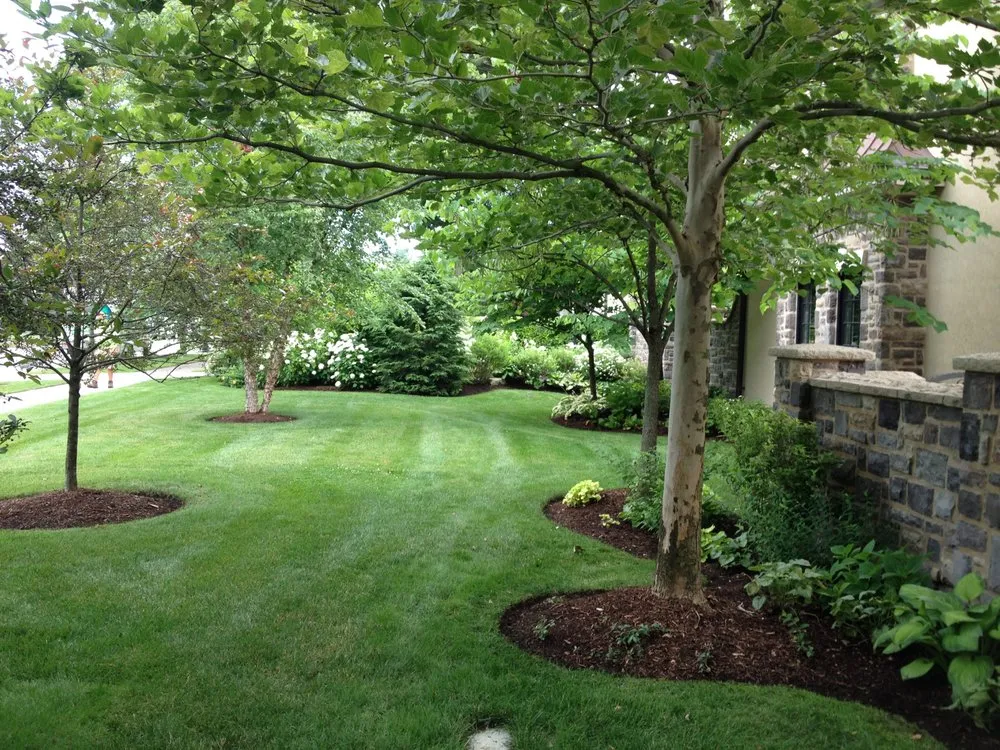 Affordable lawn care service in Lockport, NY - Turf Tec