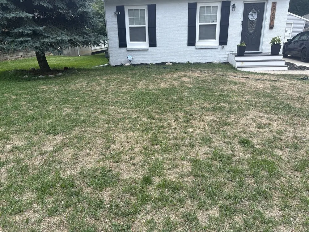 Expert residential landscaping in Ada, MI - Turf Tech Fertilization