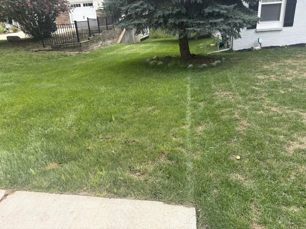 Reliable outdoor landscaping experts serving Ada, MI - Turf Tech Fertilization