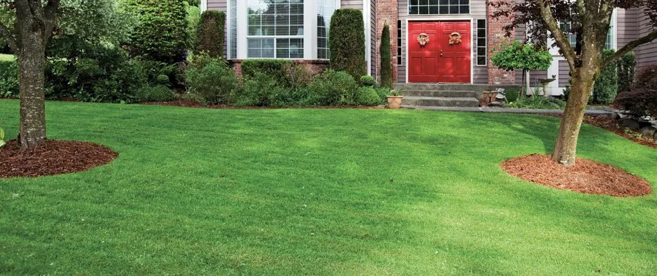 Professional residential landscaping in Ada, MI by Turf Tech Fertilization