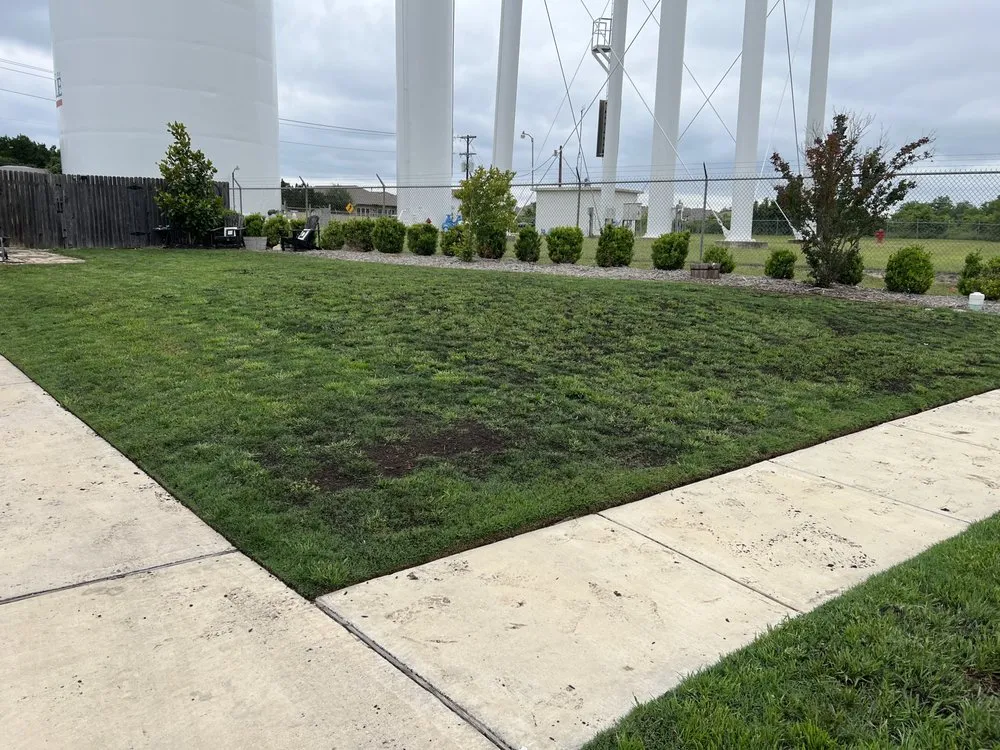 Custom yard maintenance in Kyle, TX by Turf Tech Lawn Repair